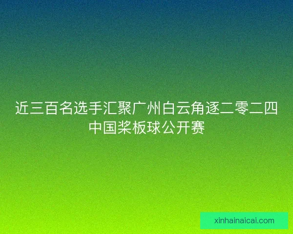 近三百名选手汇聚广州白云角逐二零二四中国桨板球公开赛