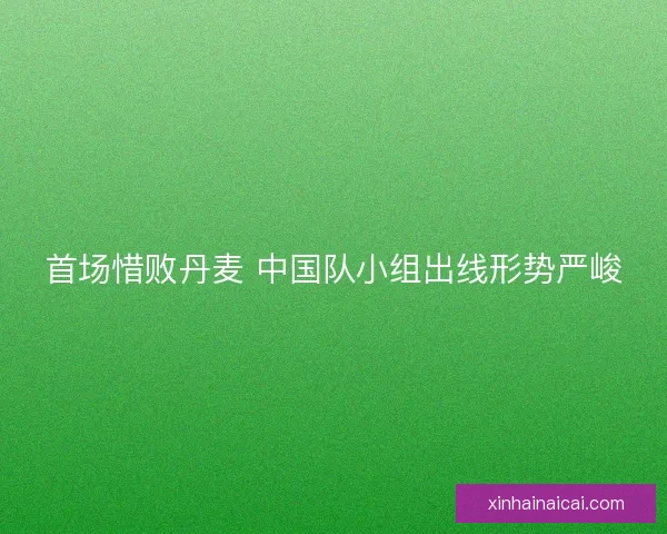 首场惜败丹麦 中国队小组出线形势严峻 首场惜败丹麦 中国队小组出线形势严峻