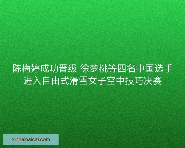 陈梅婷成功晋级 徐梦桃等四名中国选手进入自由式滑雪女子空中技巧决赛 陈梅婷成功晋级 徐梦桃等四名中国选手进入自由式滑雪女子空中技巧决赛